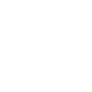 Apple iPhone kompatibel